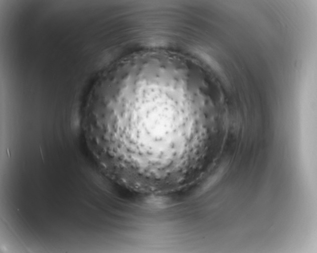 X0000089760261200707051838