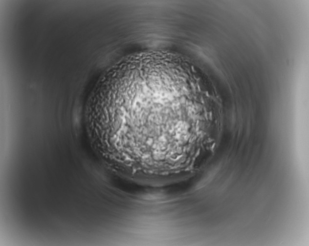 X0000089760263200707051838