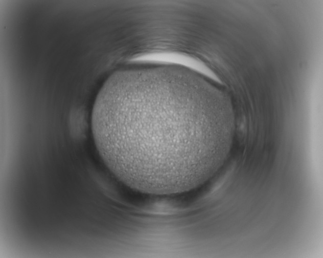 X0000089760264200707051838