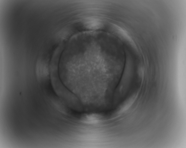 X0000089760268200707051838