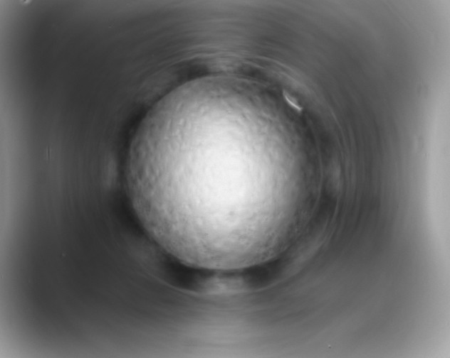 X0000089760270200707051838