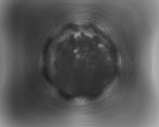 X0000089760272200707051838