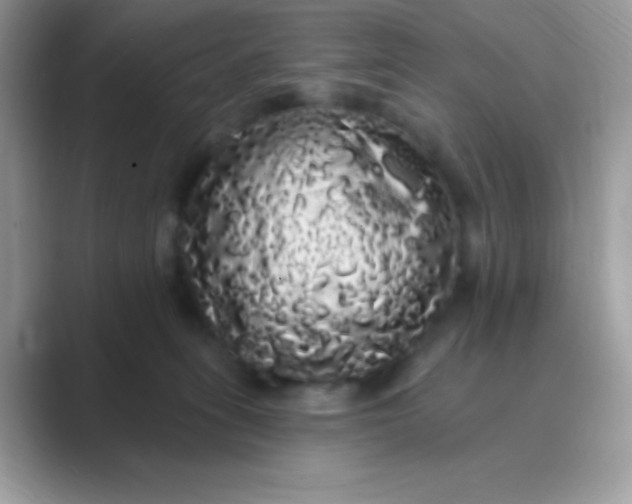 X0000089760275200707051838