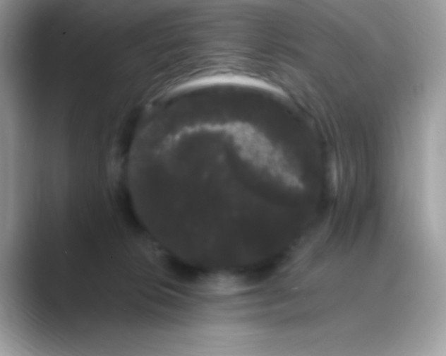 X0000089760276200707051838