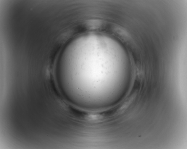 X0000089760277200707051838