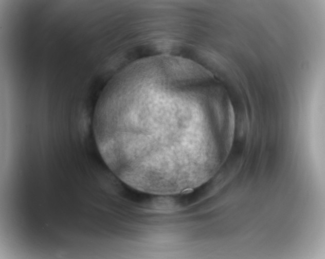 X0000089760279200707051838