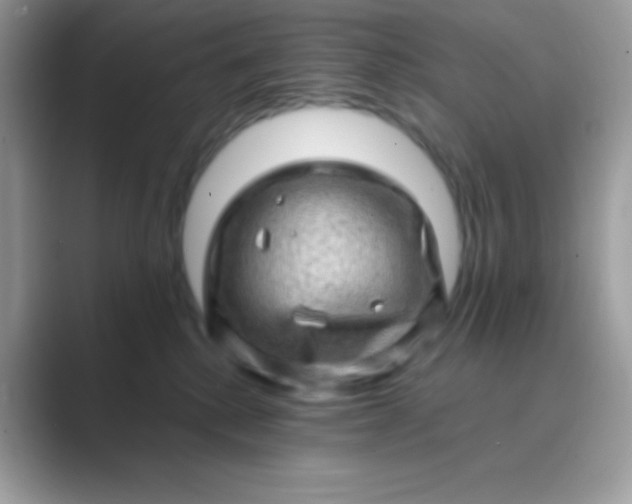 X0000089760280200707051838