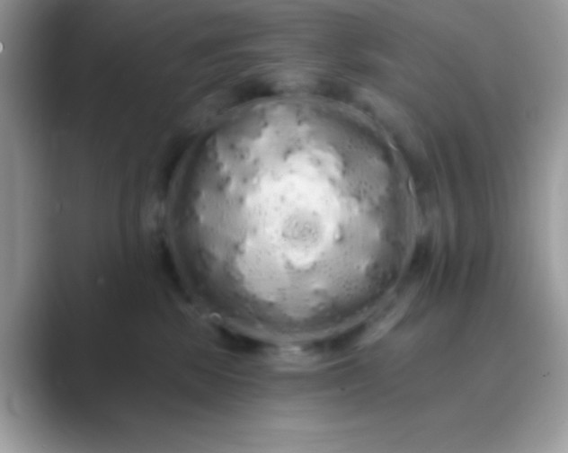 X0000089760281200707051839