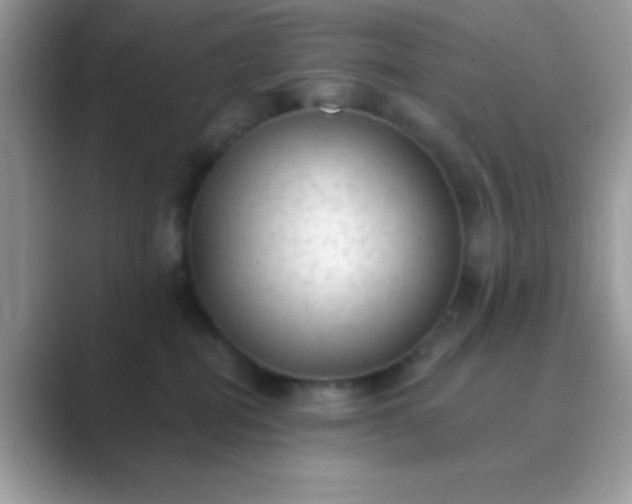 X0000089760282200707051839