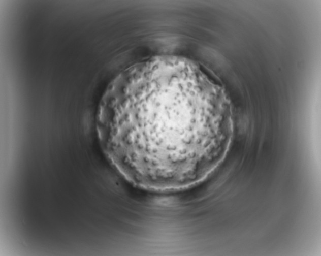 X0000089760283200707051839