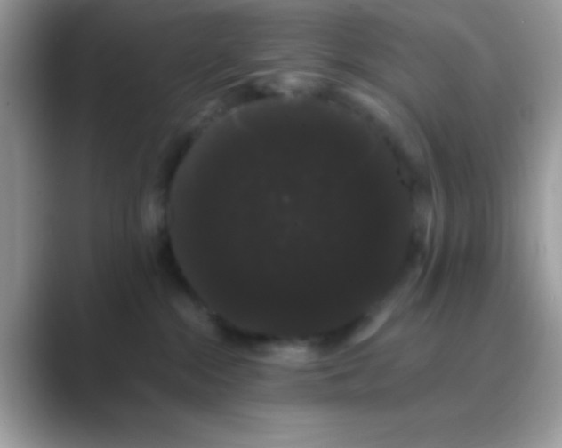 X0000089760284200707051839