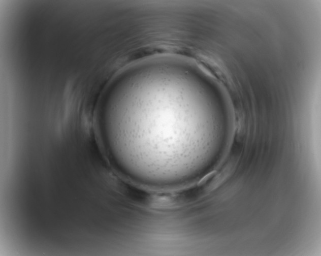 X0000089760285200707051839