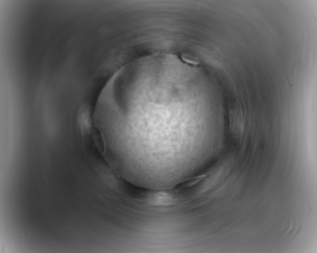 X0000089760287200707051839