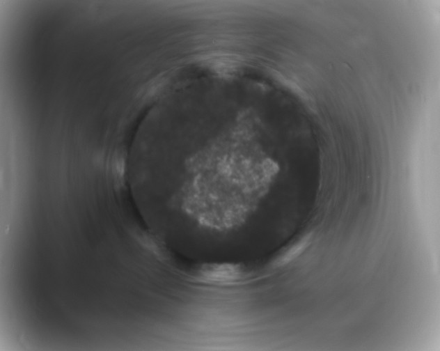 X0000089760288200707051839