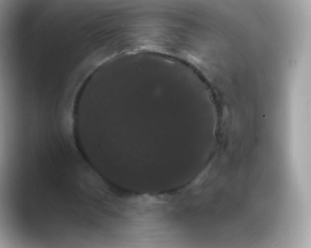 X0000089760290200707051838