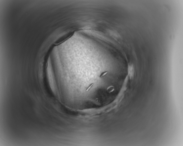 X0000089760291200707051838