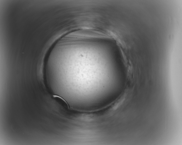 X0000089760292200707051838