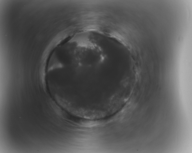 X0000089760293200707051838