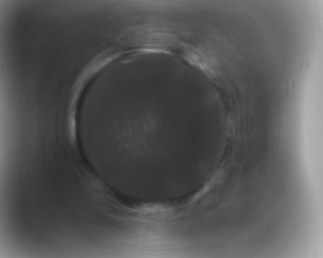 X0000089760294200707051838