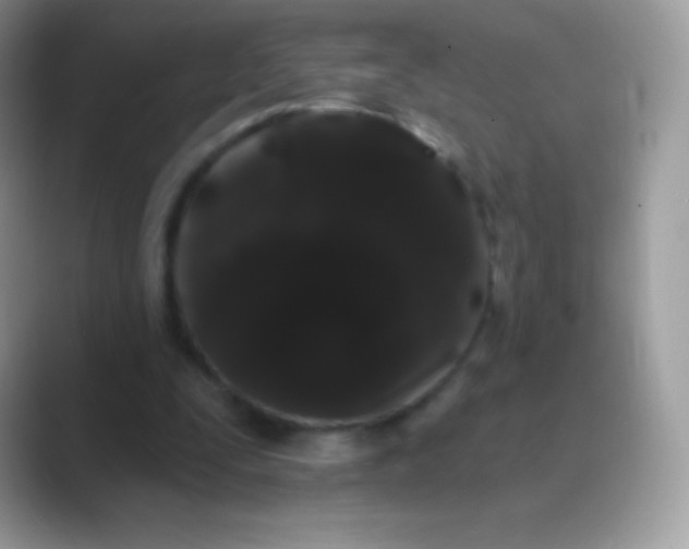 X0000089760295200707051838