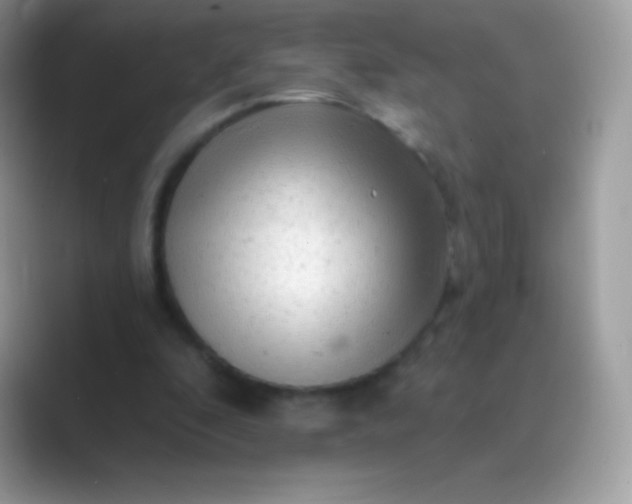 X0000089760296200707051838