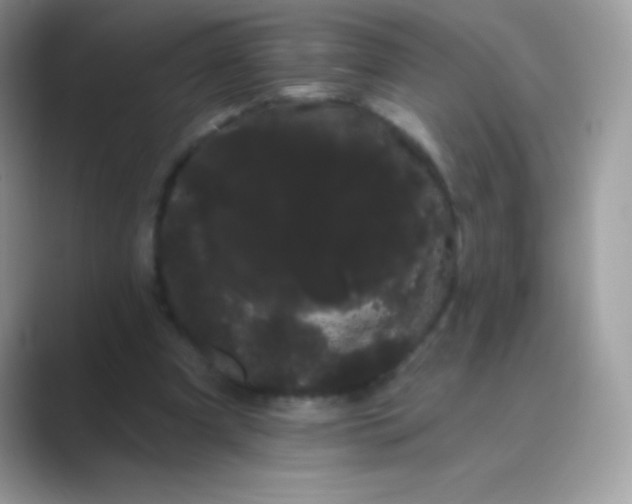 X0000089760297200707051838