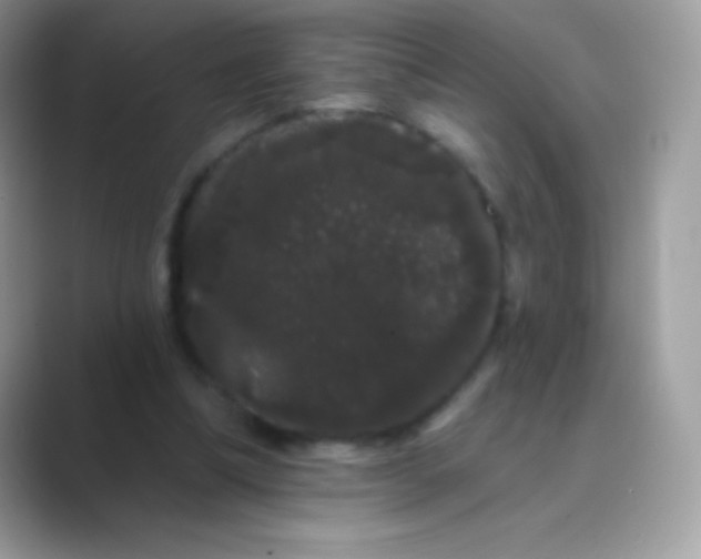 X0000089760298200707051838