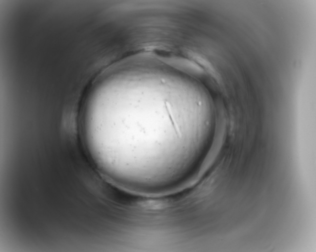 X0000089760299200707051838