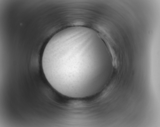 X0000089760300200707051838