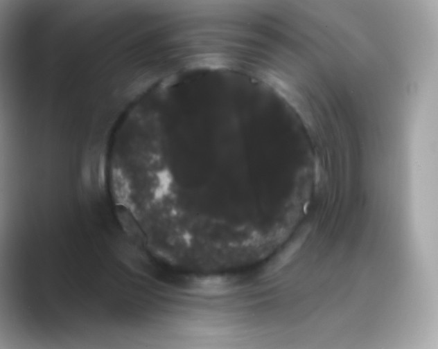 X0000089760301200707051838