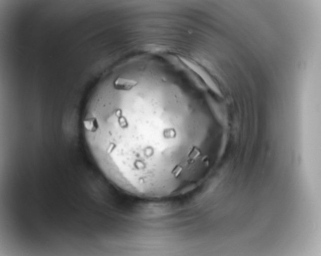 X0000089760303200707051838