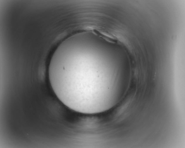 X0000089760304200707051838