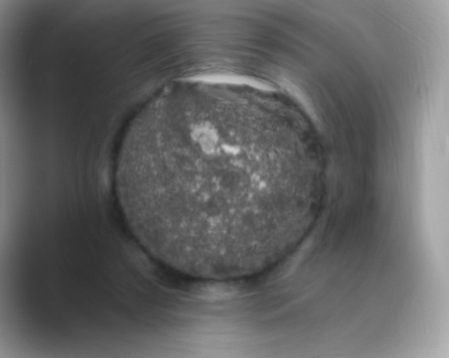 X0000089760305200707051838