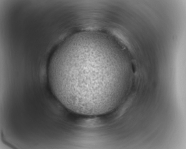 X0000089760306200707051838