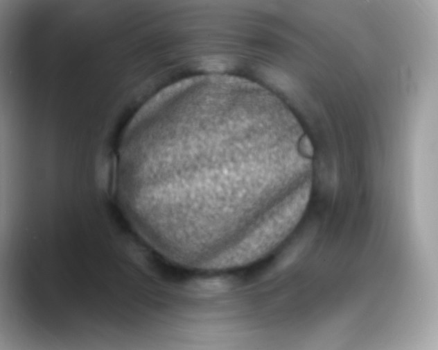 X0000089760307200707051838