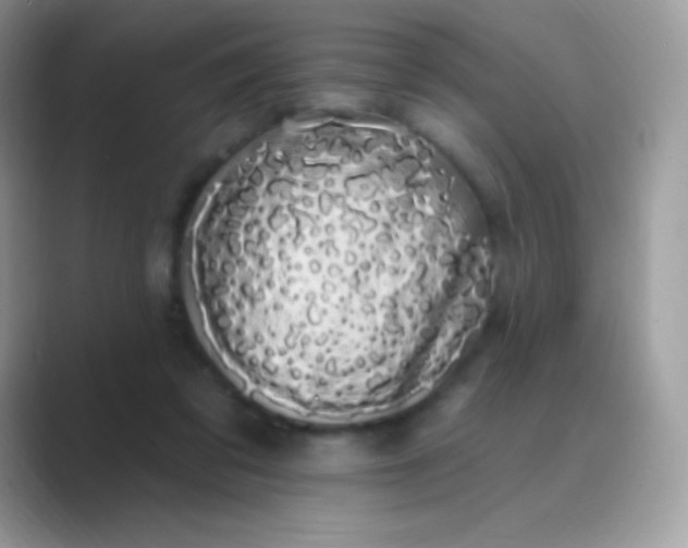 X0000089760309200707051838