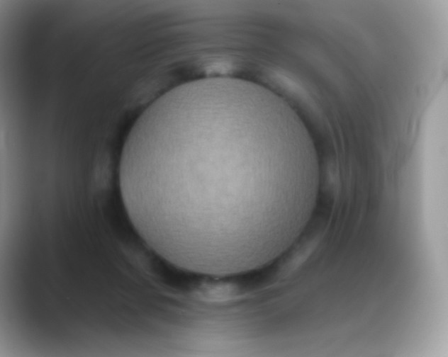 X0000089760311200707051838