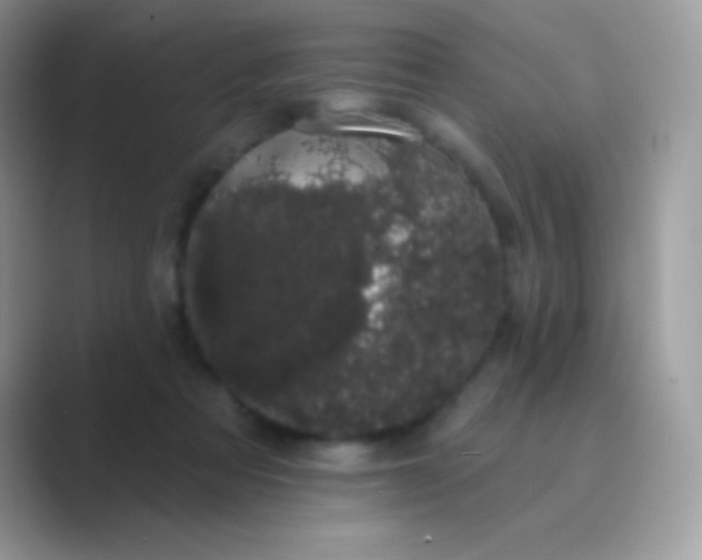 X0000089760313200707051838