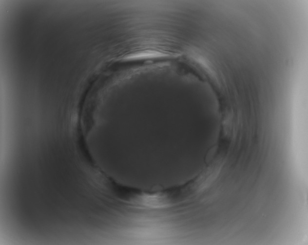 X0000089760314200707051838