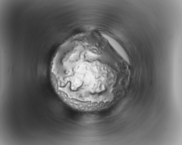 X0000089760315200707051838