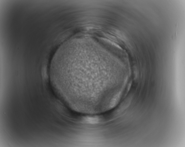 X0000089760317200707051838