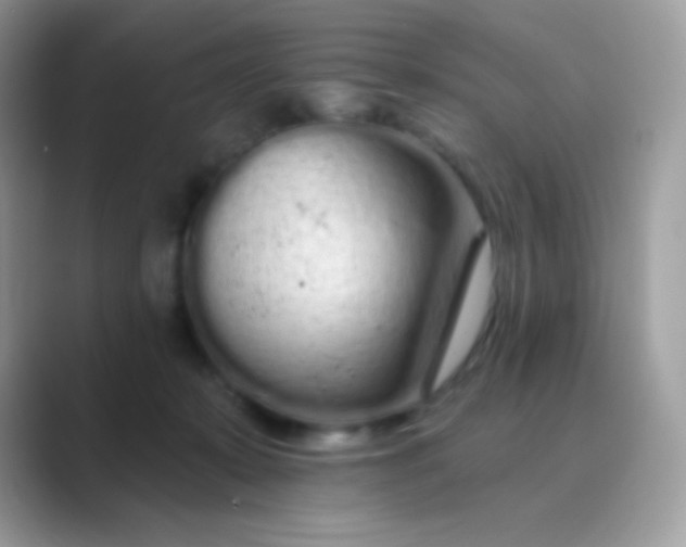 X0000089760319200707051838