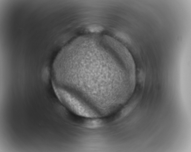 X0000089760321200707051838