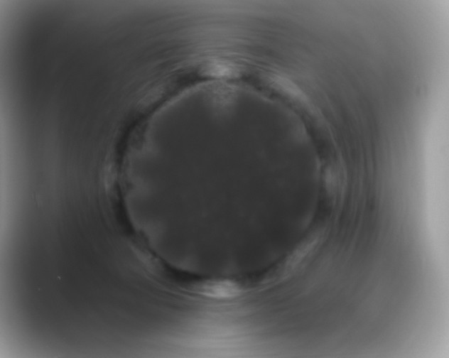 X0000089760322200707051838