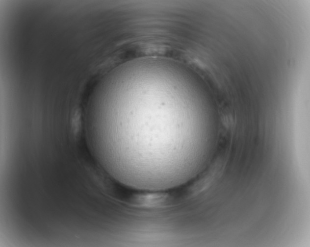 X0000089760323200707051838