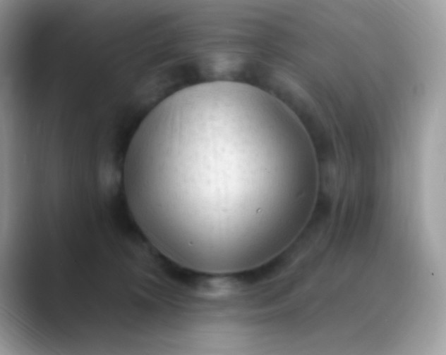 X0000089760324200707051838