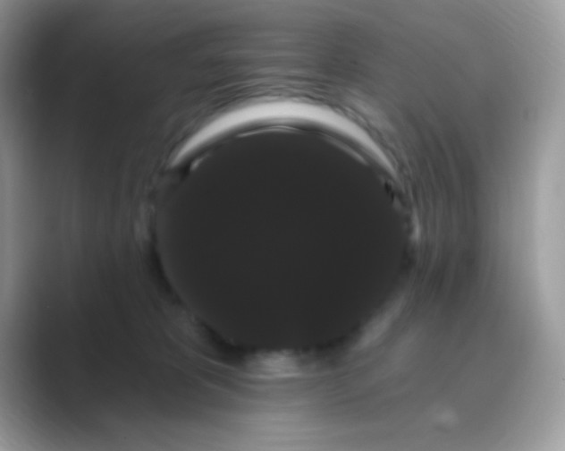 X0000089760325200707051838