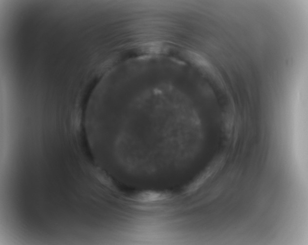 X0000089760326200707051838