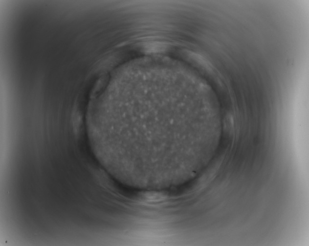 X0000089760327200707051838