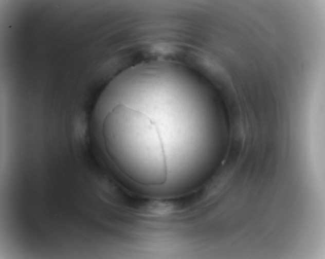 X0000089760328200707051838